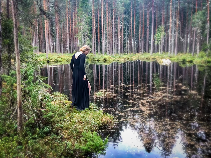 The forest ponds, Tranfluckorna.